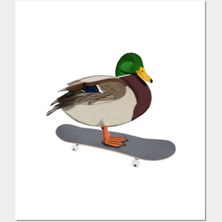 Mallard Bird Skateboard Birdwatcher Animal Biologist Posters and Art